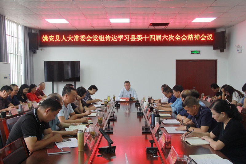 县人大常委会党组召开专题会议传达 学习省、州、县党委全会精神